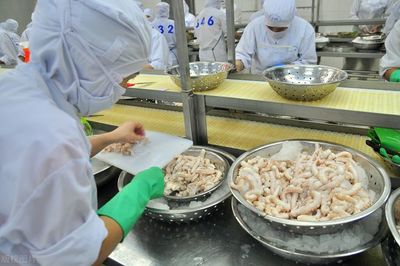 海產(chǎn)品加工企業(yè)如何選擇污水處理站？三大關(guān)鍵影響因素解析